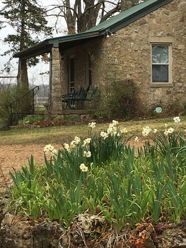 Spotlight: Edg-Clif Farms & Vineyard Stone Cottage